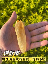 南澳岛深海野黄花胶天然鱼胶干货正品鱼胶500g非孕妇即食月子滋补