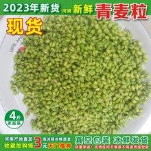 河南新鲜青麦仁农家青麦粒现货嫩麦籽煮粥杂粮小麦粒碾转材料2斤