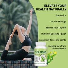 SEA MOSS Vegetarian Capsules Gut Health 外贸跨境海苔海藻胶囊