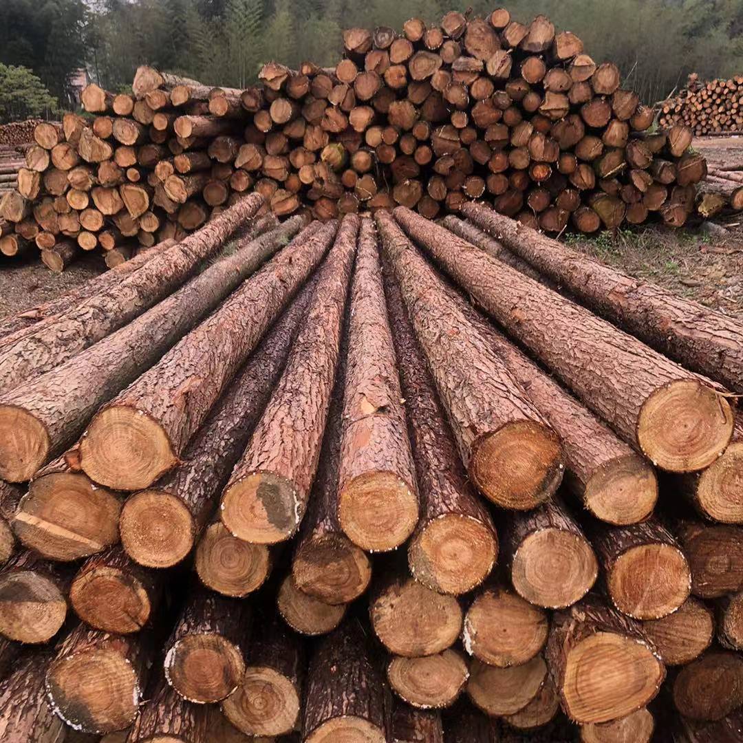 林场直发杉木檀条 房屋建筑原木檀条 圆头4米檀条现货批发