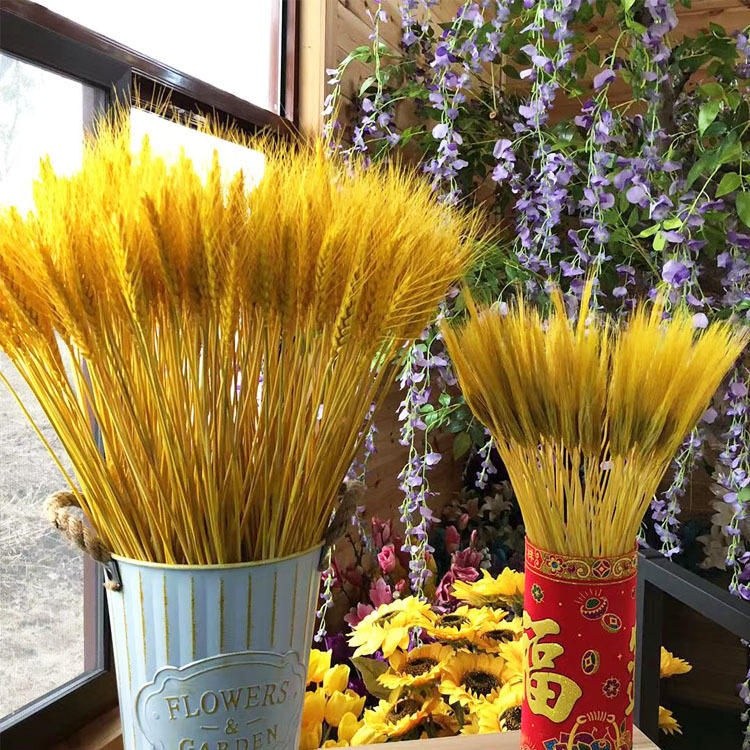 麦穗干花批发 麦穗干花花束大麦穗干花大麦开业花篮批发装饰鲜花
