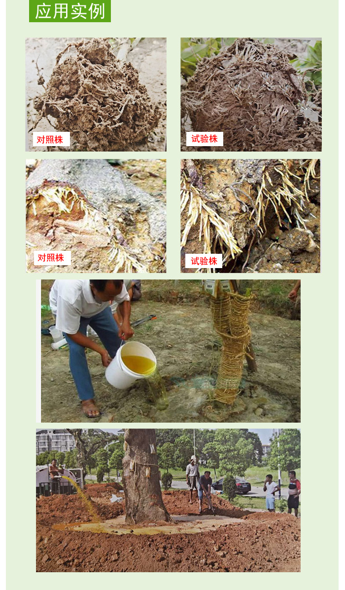 国光植根源萘乙酸生根剂月季扦插苗木移栽快速爆发式生根液生根粉