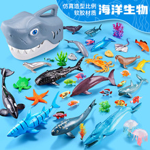 儿童仿真海洋动物模型卡通鲨鱼头收纳盒玩具套装仿真海洋生物摆件