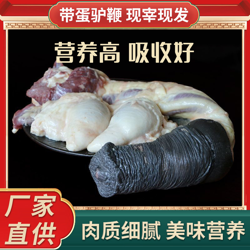 现货新鲜驴鞭带蛋现杀现宰驴鞭山东兰陵特产生鲜驴下水驴副食批发