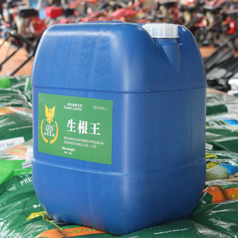 植物生根液 大树营养液绿化生根粉 扦插壮苗生根剂水溶肥移栽苗木