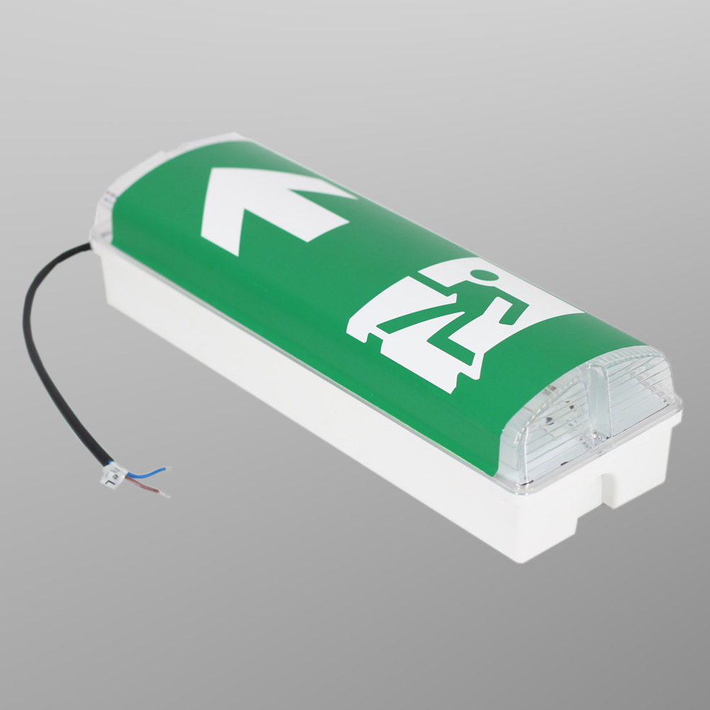 厂家批发应急壁灯应急灯ip65防水标志灯3w-8w照明3小时过ce
