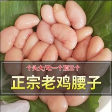 新鲜鸡腰子鸡子公鸡蛋鸡肾鸡春子散养土鸡鸡腰500克广东省3斤包邮