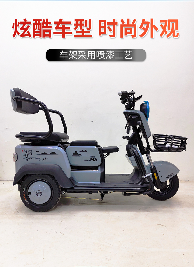 电动三轮车风驰电动车成人接送孩子家用迷你型休闲代步车电瓶车