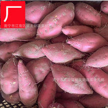 海南富硒地瓜新鲜桥沙地红薯山芋板栗薯番薯新鲜农家自种