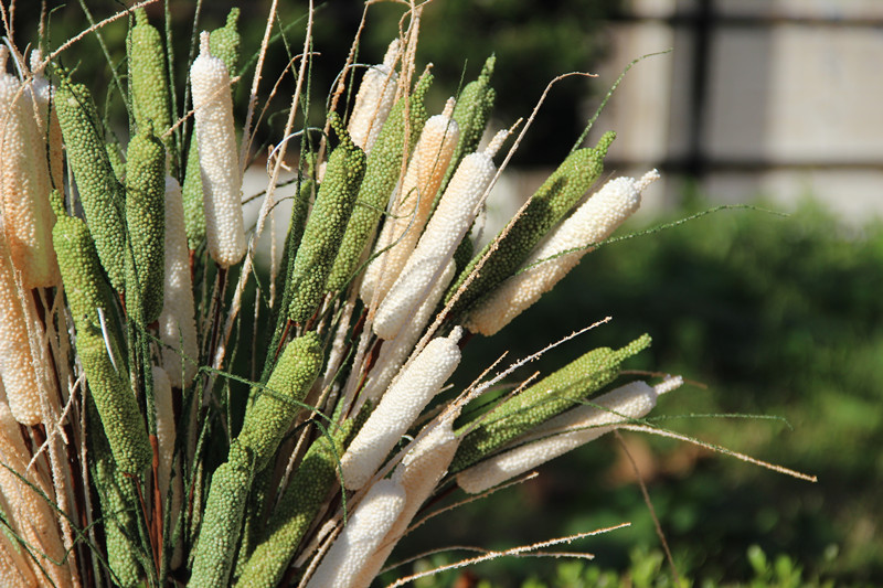 【金煜】厂家现货 诺凡蒲棒田园泡沫花假花 跨境家居装饰仿真pe花