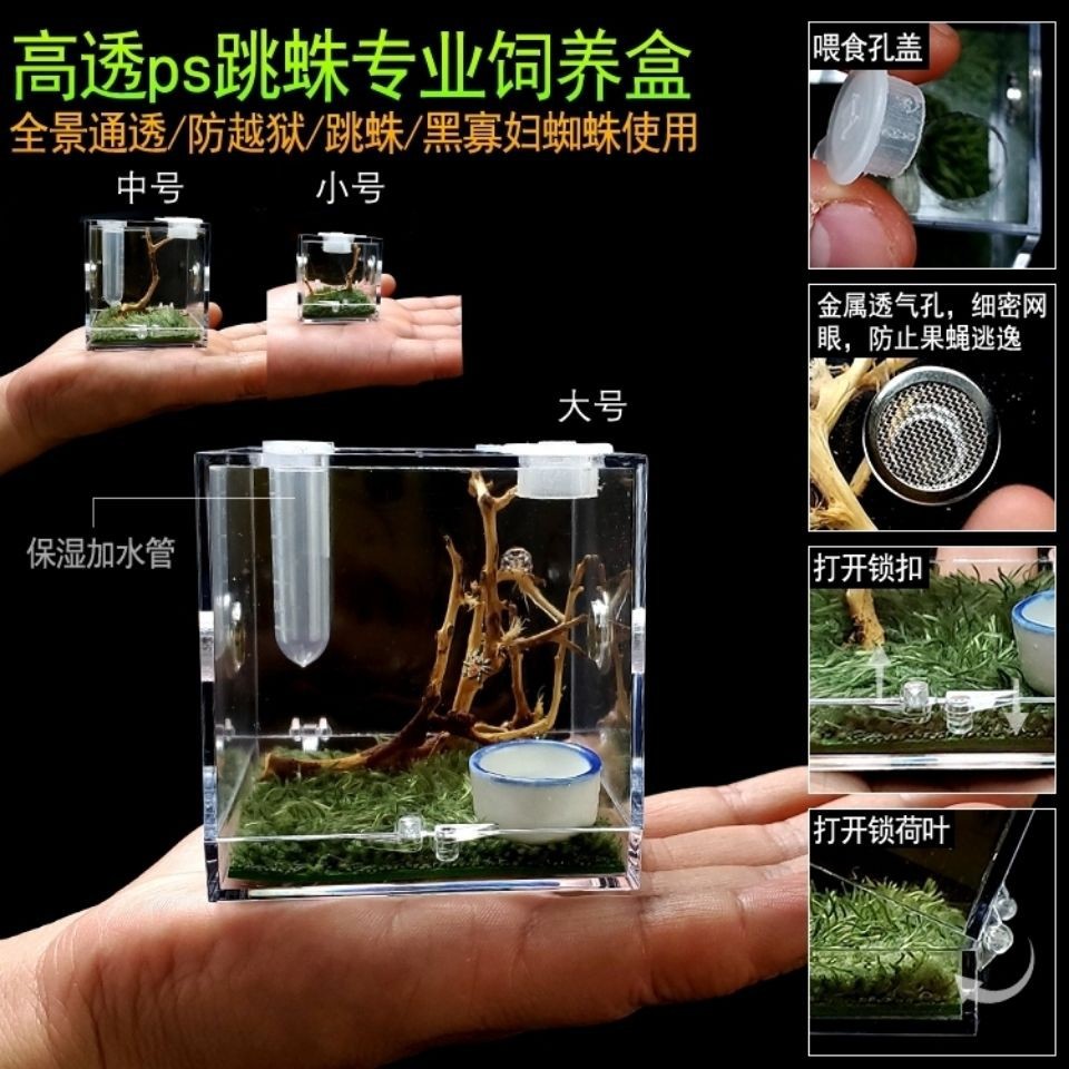 爬宠盒饲养盒蜘蛛蛐蛐罐螳螂攀爬盒竹黄蝈蝈高透鸣虫生态盒带盖