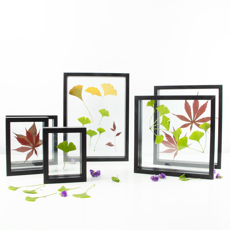 Creative Dried Flowers Leaves Specimen Box Wholesale Square A4 Paper Cut Diy Picture Frame Double-Sided Glass Photo Frame