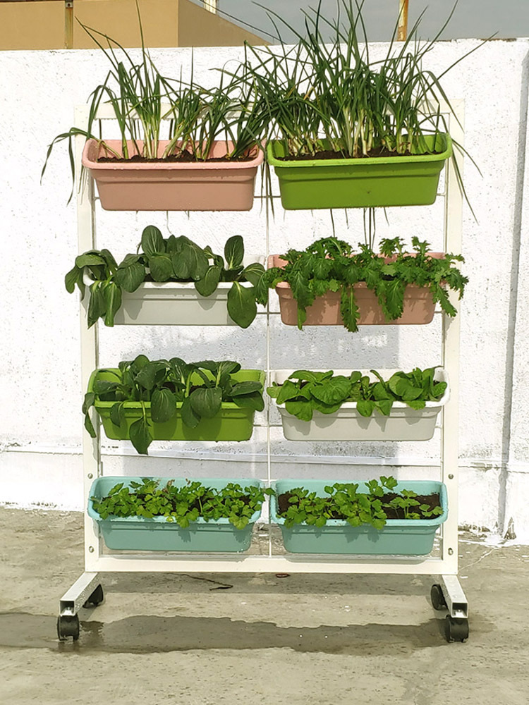 室外落地式铁艺移动花架封闭阳台蔬菜种植架带轮多层楼顶种菜