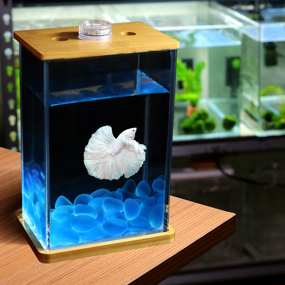 斗鱼缸泰国斗鱼超白玻璃方形迷你小鱼缸水族箱生态瓶桌面微景观赏