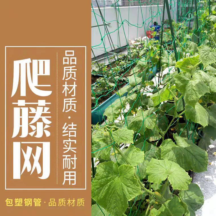 豆角架网吊瓜丝瓜苦瓜黄瓜百香果专用网植物爬藤网种植网攀爬农用