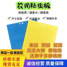 双面粘虫板黄蓝一体诱虫板蓝板飞虫小黑飞沾诱捕器粘板蓟马大棚专