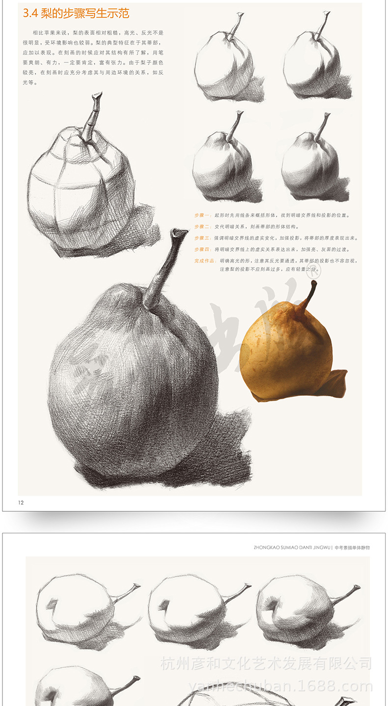 中考素描静物单体临摹单个书籍画册教材程照片范画本