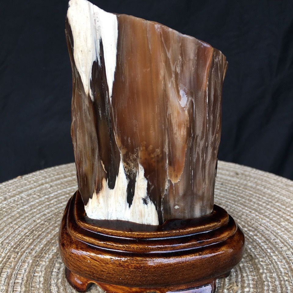 树化玉缅甸木化石-树化玉缅甸木化石厂家,品牌,图片,热帖-阿里巴巴