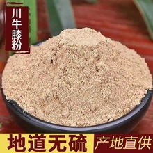 川牛膝粉中药材批发川牛膝 怀牛膝粉现磨农产品加量大价优牛膝粉