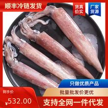 批发 冷冻比管鱼火箭鮹 印尼红鱿鱼带籽 烧烤火锅商用捞汁海鲜