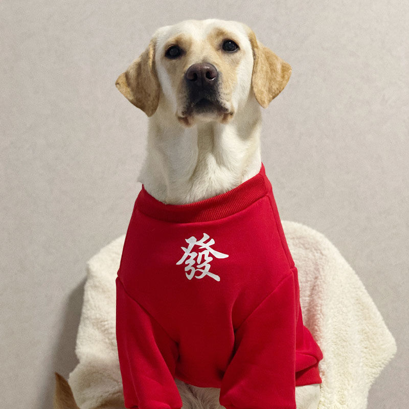 金毛衣服大狗狗新年冬装拉布拉多拜年中型犬大型犬冬季喜庆过年装