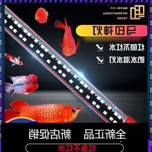 马印神灯日月龙鱼发色灯三基色鱼缸灯红龙金龙专用增艳色潜水烤色