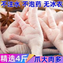 生鸡爪新鲜生鲜现杀生子大个鸡脚带骨凤爪食商用批发子代发厂家