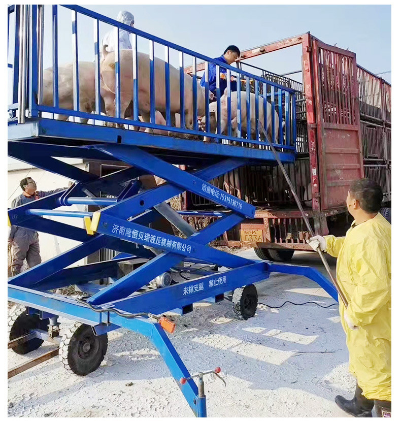 大型养猪场电动液压卸猪台 带地磅固定装猪平台 移动式卸猪升降机