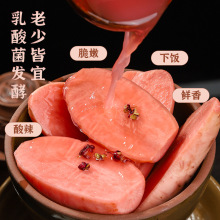 泡菜合集四川坛子泡什锦鱼酸菜胭脂萝卜泡椒青红小米辣姜农家川味