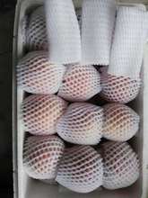 厂家直销鸡蛋网套网兜水果防震网套水蜜桃网套网袋枇杷草莓批发
