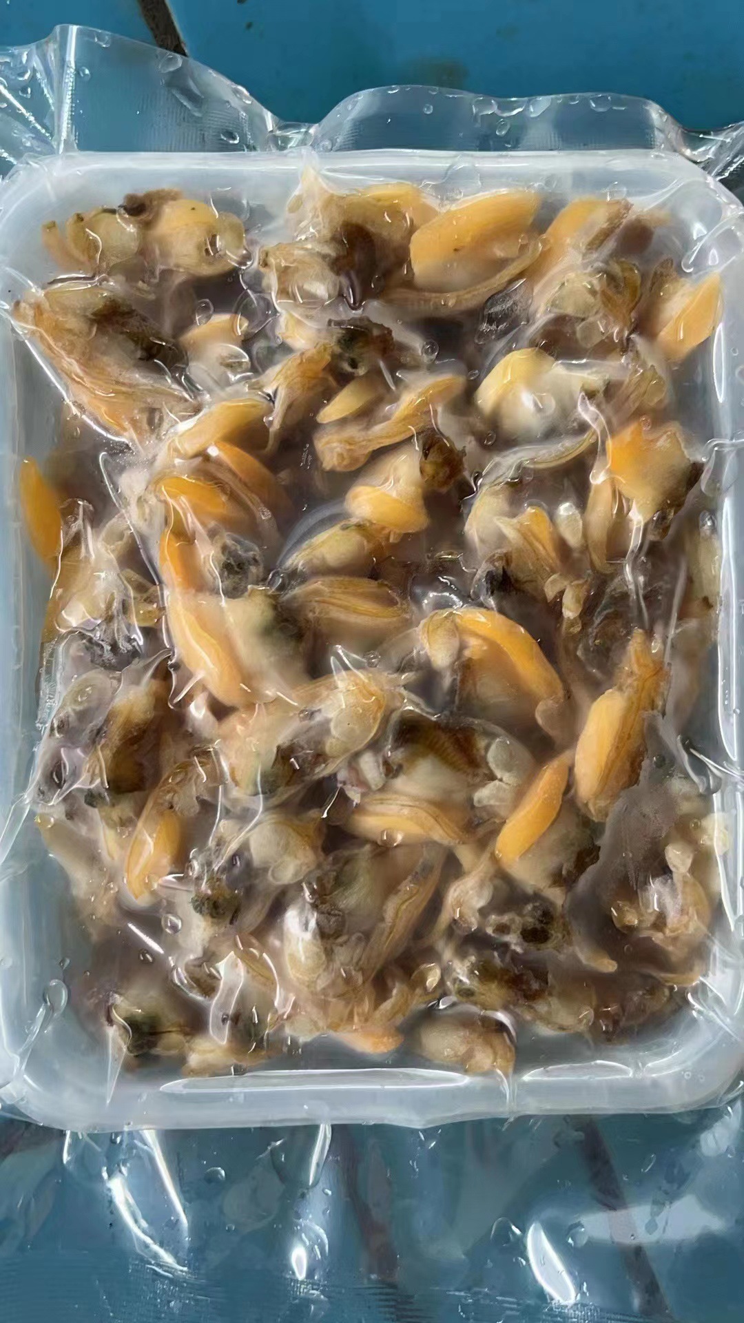 东山岛花甲肉蛤蜊肉油蛤去壳无沙新鲜花蛤鲜冻大黄蚬子杂蛤蛤蜊肉