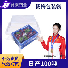 杨梅专用真空袋打包袋食品密封抽气保鲜袋子冷冻冷藏商用光面定制