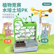 植物大战迷宫steam趣味科学小实验套装diy手工制作种植生长玩具