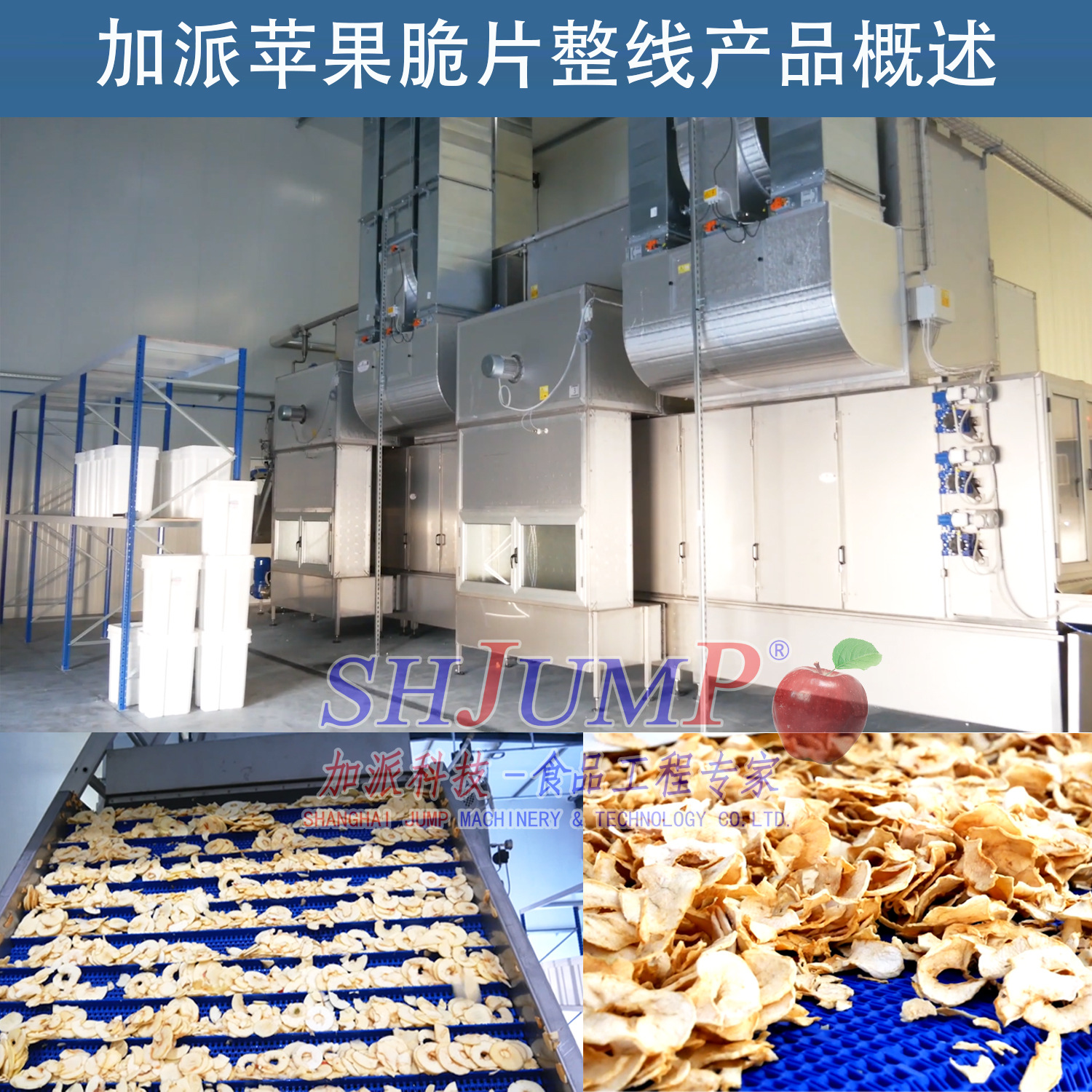 苹果破碎榨汁机 苹果脆片加工生产线商品描述视频展示规格苹果浓缩酱