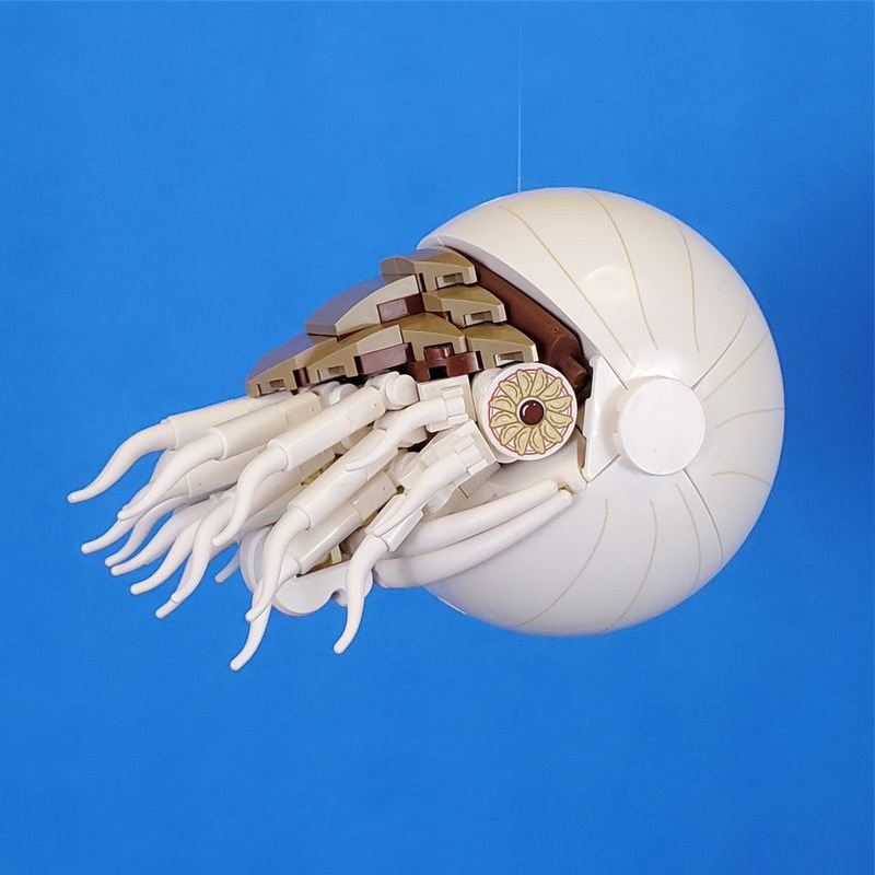 跨境moc-109411贝壳鹦鹉螺海洋软体动物兼容乐高积木拼装模型玩具