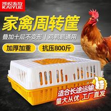 鸡笼子家用养殖周转箱家用大号加厚防摔运输塑料鸡笼长方形大清仓