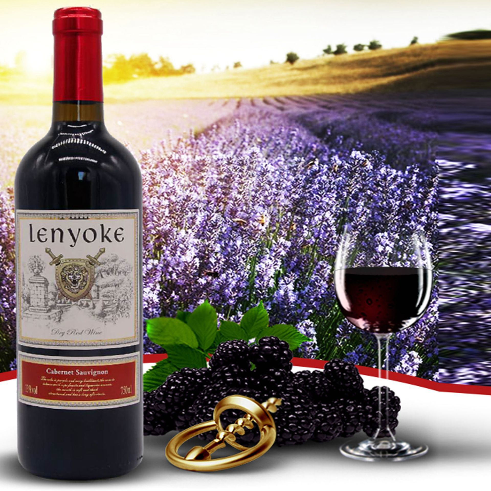 法国原瓶智利原装原酒进口干红酒葡萄酒量大优惠一件代发源头工厂