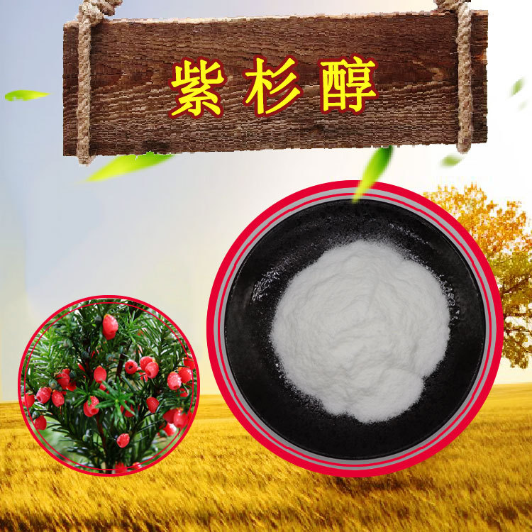 紫杉醇99%品质把控红豆杉提取物hplc检测货源稳定1g/袋紫杉醇