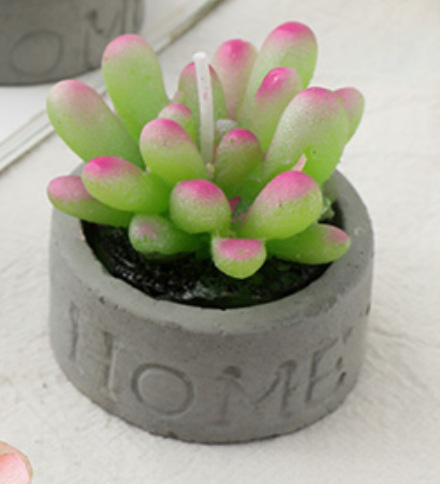 INS Style Artificial Plant Potted Succulent Candle Creative Modeling Wax Home Atmosphere Decoration Decoration Factory Wholesale