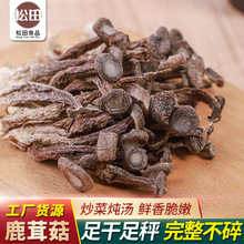 鹿茸菌干货鹿茸菇 500g散装批发脆嫩切根鹿茸菇 酒店餐饮食材批发