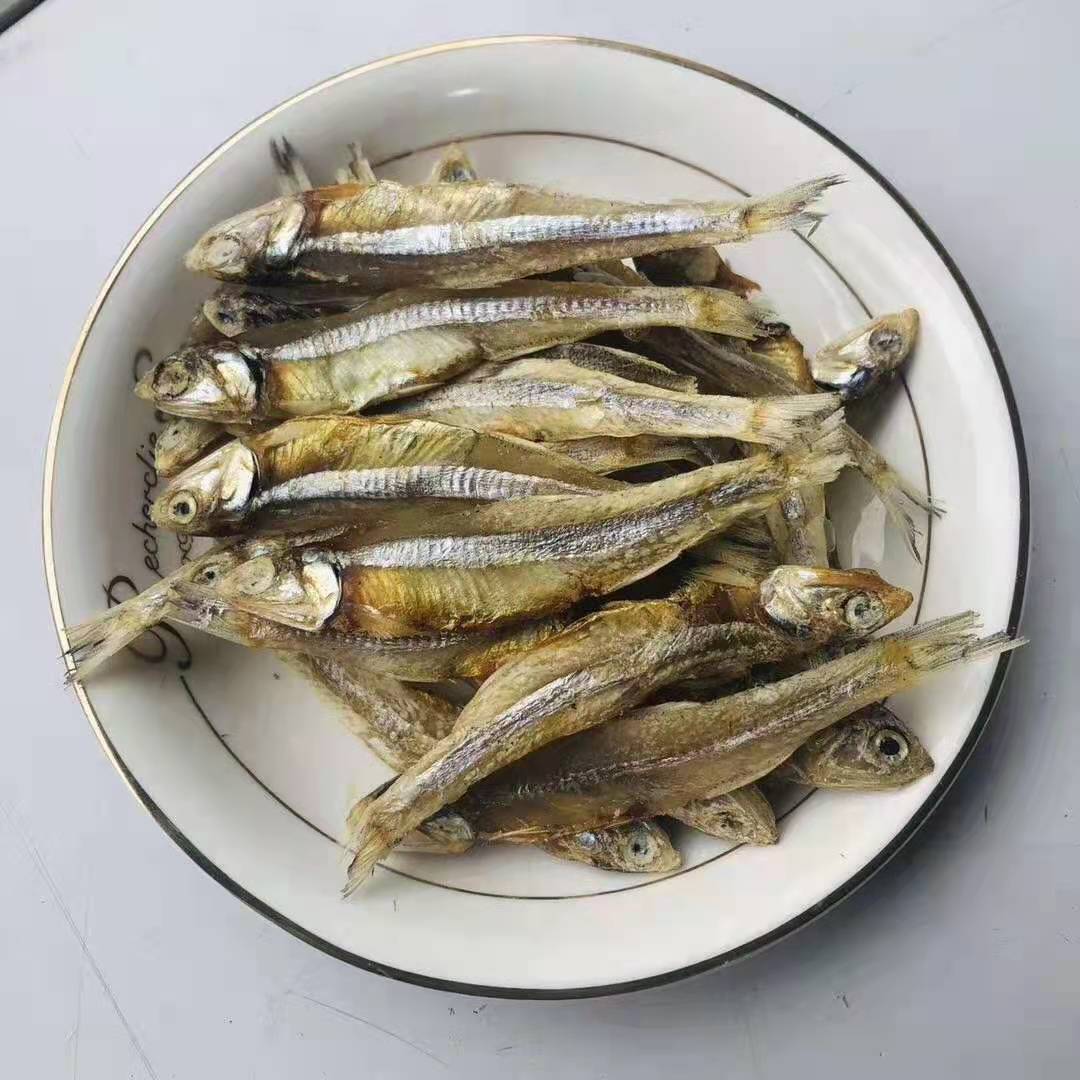 全干毛刀鱼干凤尾鱼干淡水小鱼干 鄱阳湖特产 跑江湖地摊展会产品
