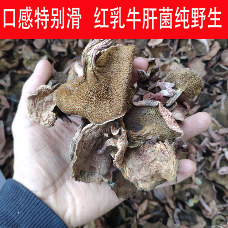 云南野生菌子红乳牛肝菌煲汤香菇货干货红粘蘑红粘团子粘蛾食用菌