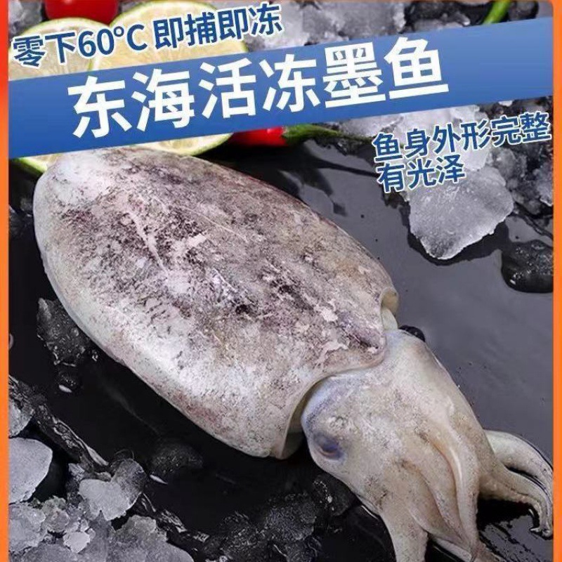 大墨鱼新鲜墨斗鱼墨鱼仔大号目鱼批发冷冻水产乌贼顺丰工厂批发