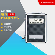 AJ12B氧气呼吸器检验仪 矿用AJ12B压缩氧正压式自救器检验仪