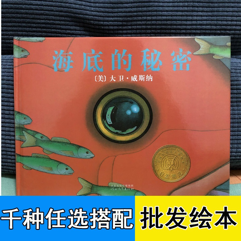 海底的秘密 精装硬壳绘本无字书 4-7岁幼儿童海洋科普百科图画书