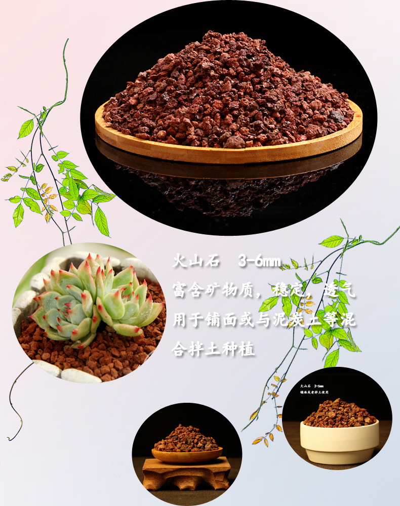 10斤多肉植物营养土泥炭土多肉土叶插换盆土多肉专用土多肉颗粒土