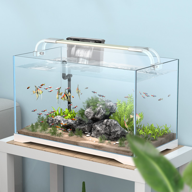 金晶超白玻璃鱼缸客厅小型家用生态缸造景套餐乌龟缸水族箱