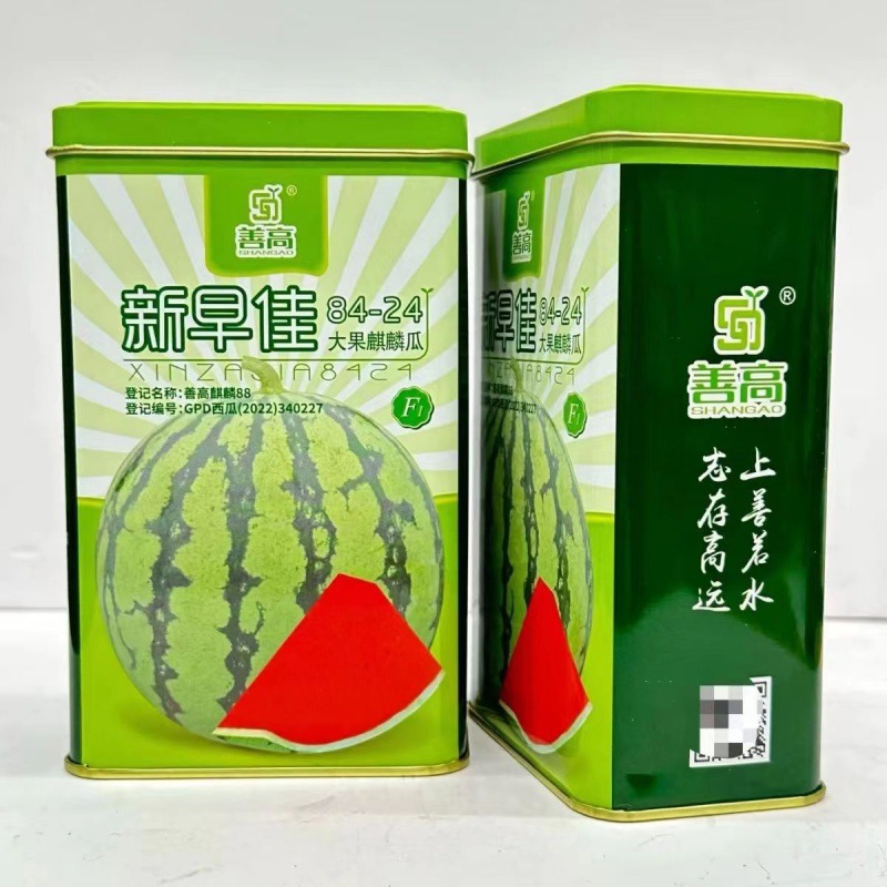 善高新早佳8424大果麒麟西瓜种子早熟圆球形皮薄籽少多汁甜度高