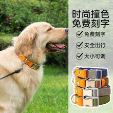 宠物狗狗项圈刻字防丢失狗牌脖圈金毛中大型犬小型犬泰迪颈圈用品