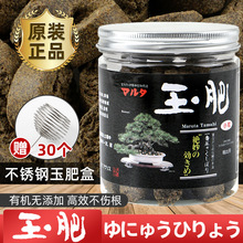 日本原装进口玉肥盆景专用肥料松柏长效有机缓释肥颗粒花肥分装肥